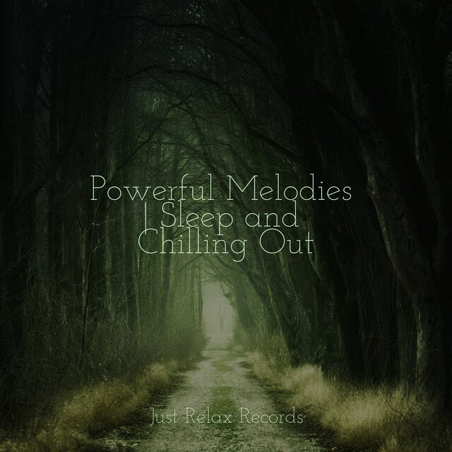 Powerful Melodies | Sleep and Chilling Out