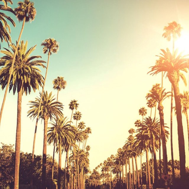 LA