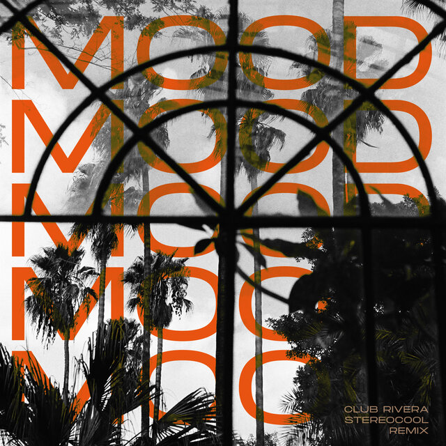 Mood (StereoCool Remix)