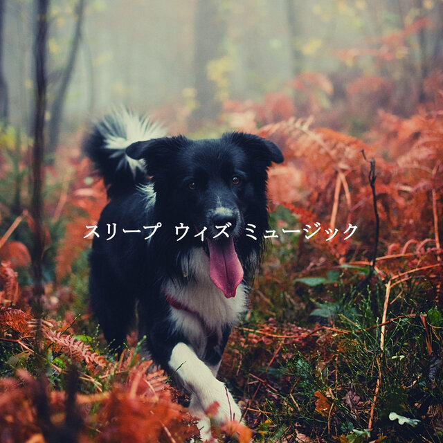 スリープ ウィズ ミュージック