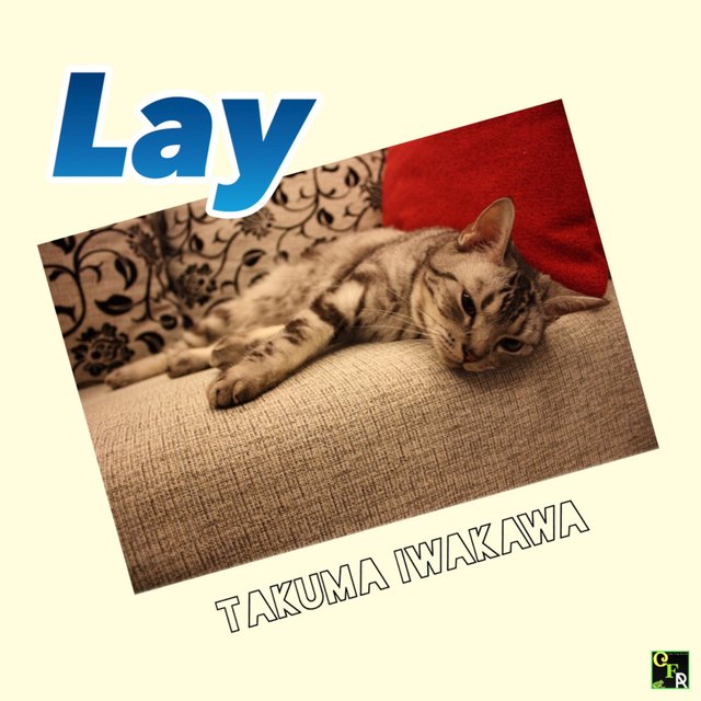 Lay