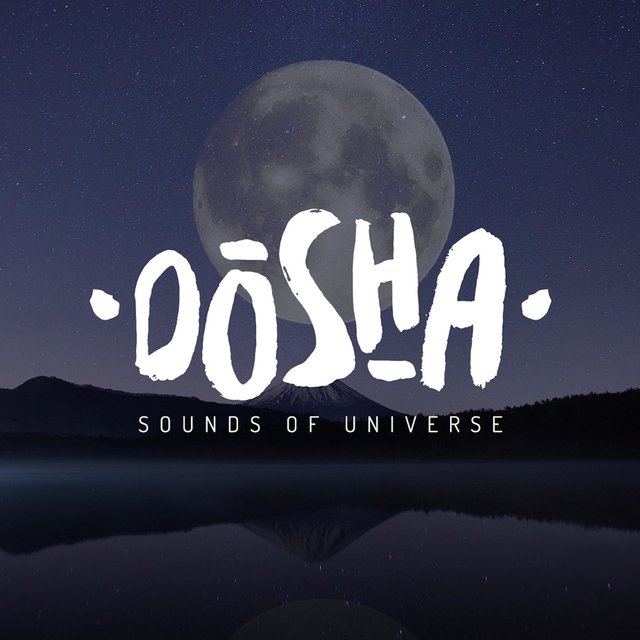 Sounds of Universe