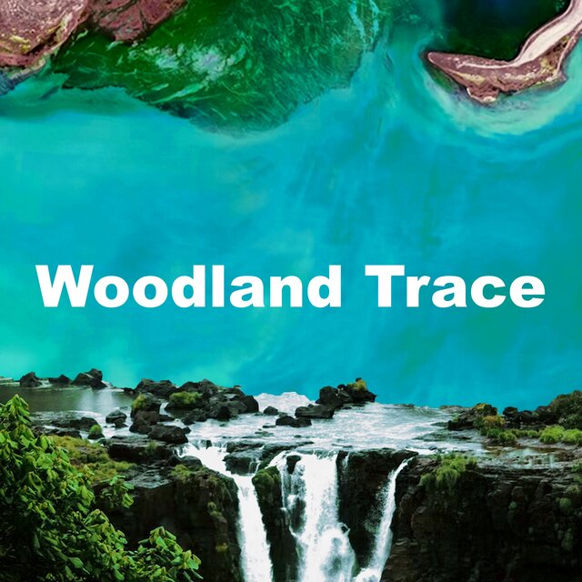 Woodland Trace