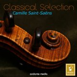 Cello Concerto No. 2 in D Minor, Op. 119: II. Andante sostenuto