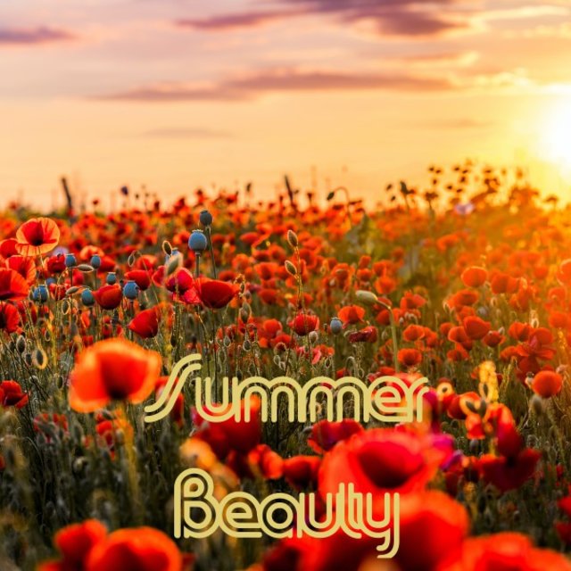 Cover art for album  by Leviathan