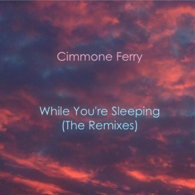 While You're Sleeping (The Remixes)