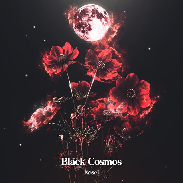 Black Cosmos