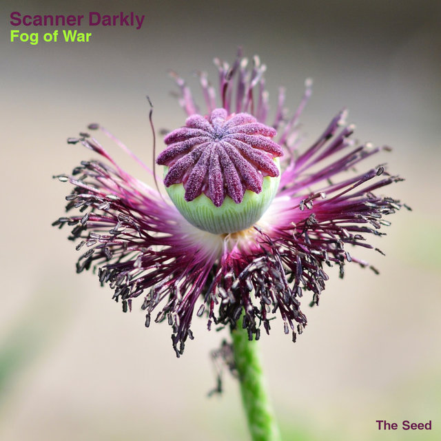 Fog of War