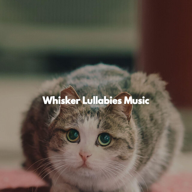 Whisker Lullabies Music