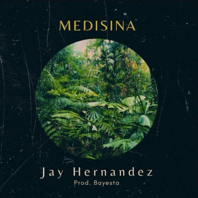 Medisina