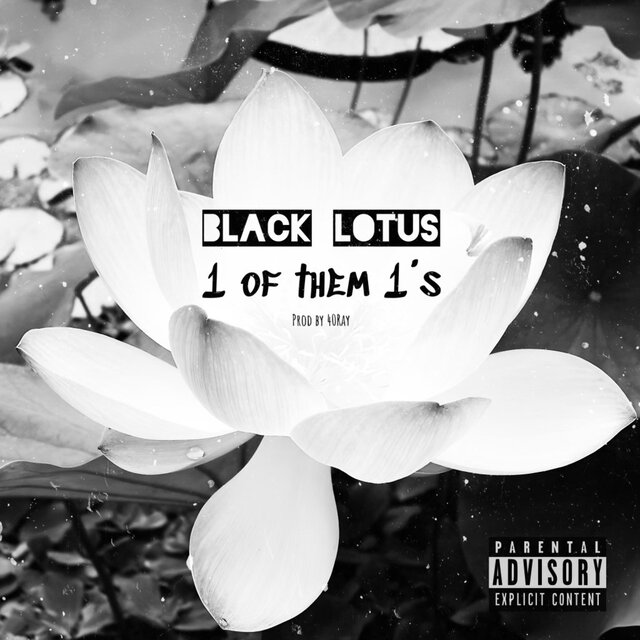 1 OF THEM 1's (feat. UFO TONE, NoeyTrixx, Big Z, Royal T & 40Ray)