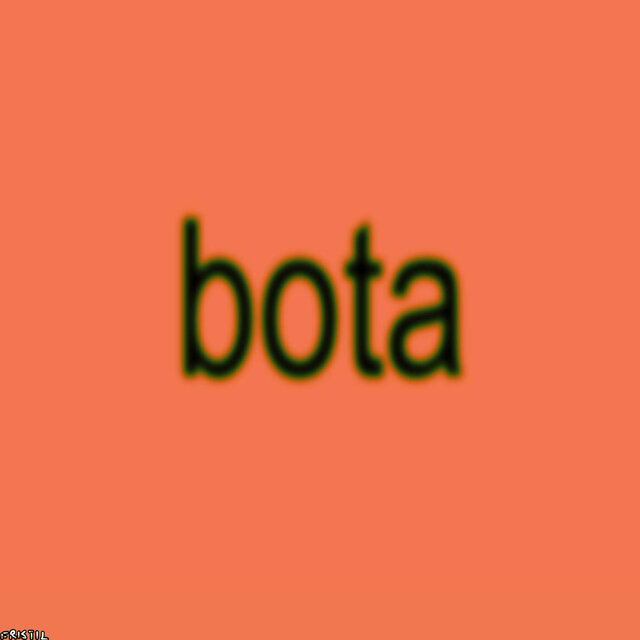 «bota