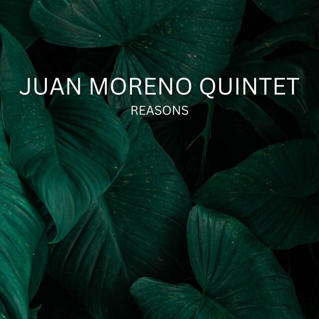 Reasons