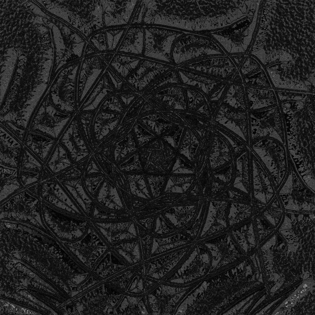 Chaos and Disorder