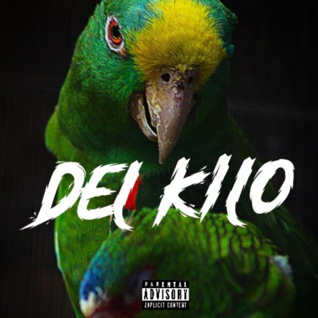 Del Kilo (feat. XahXah, Willy rose & adriann)