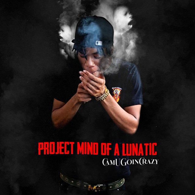 Project Mind Of A Lunatic