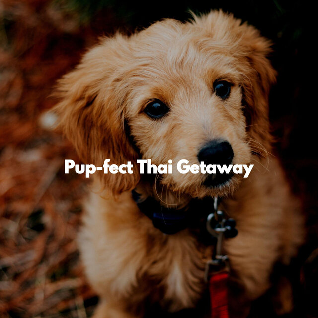 Pup-fect Thai Getaway