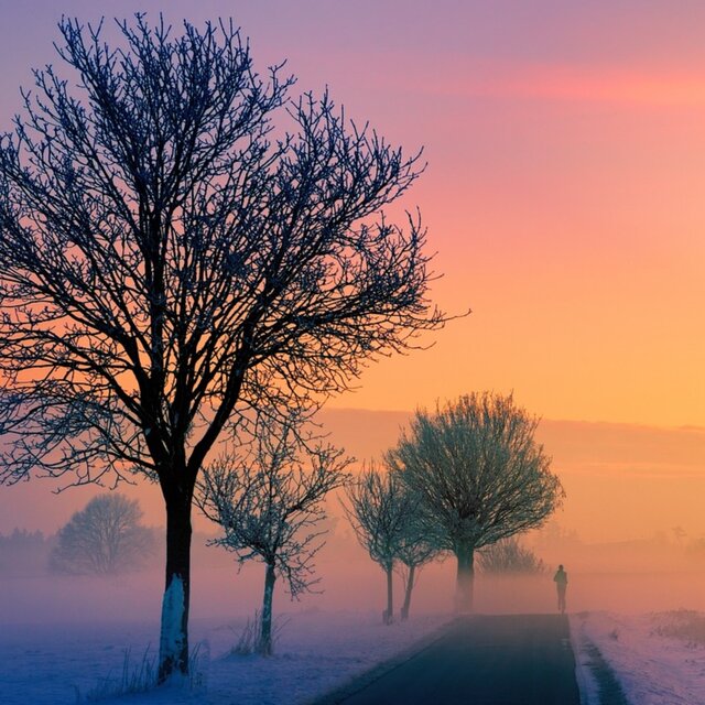 Fading Into Dawn