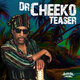 Cover art for album Teaser by Dr. Cheeko
