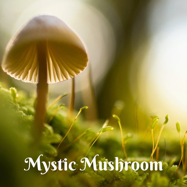Mystic Mushroom