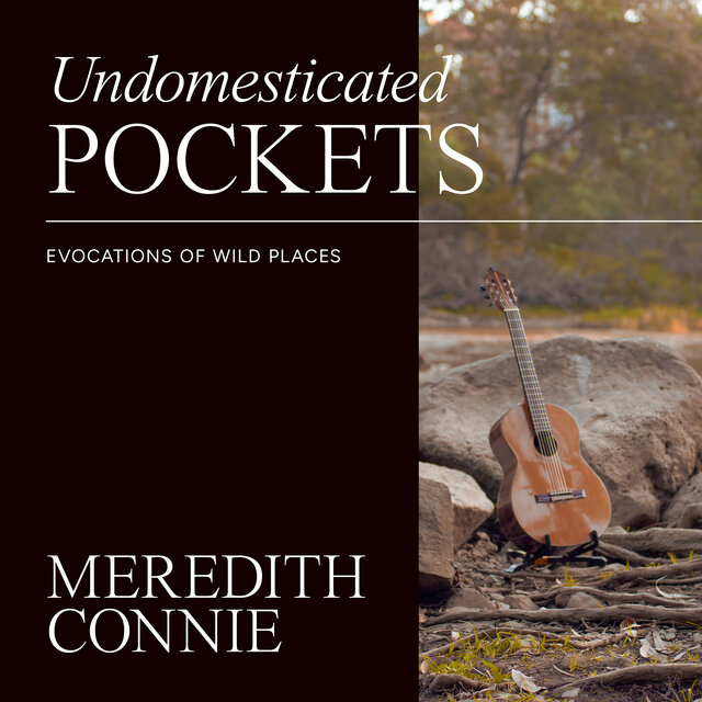 Undomesticated Pockets:  Evocations of Wild Places