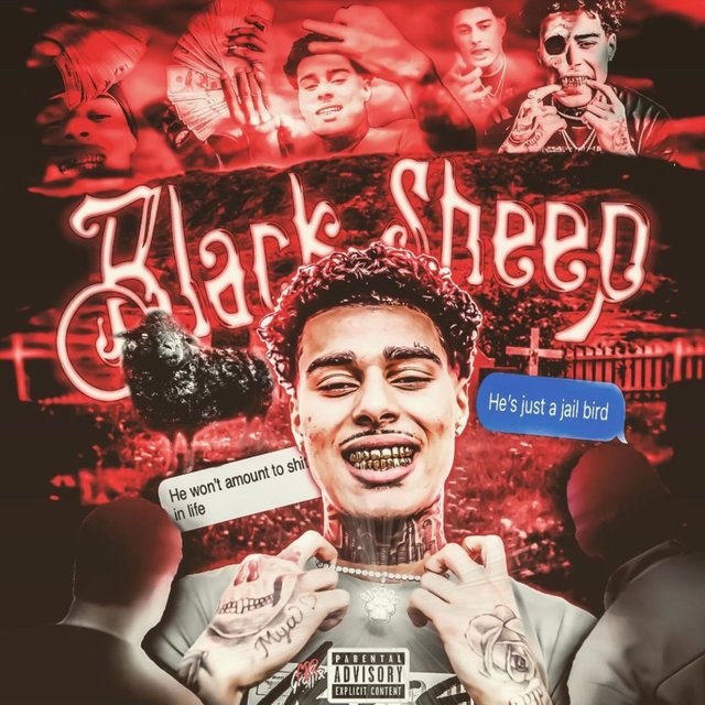 Black Sheep