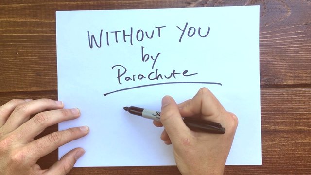 Without You