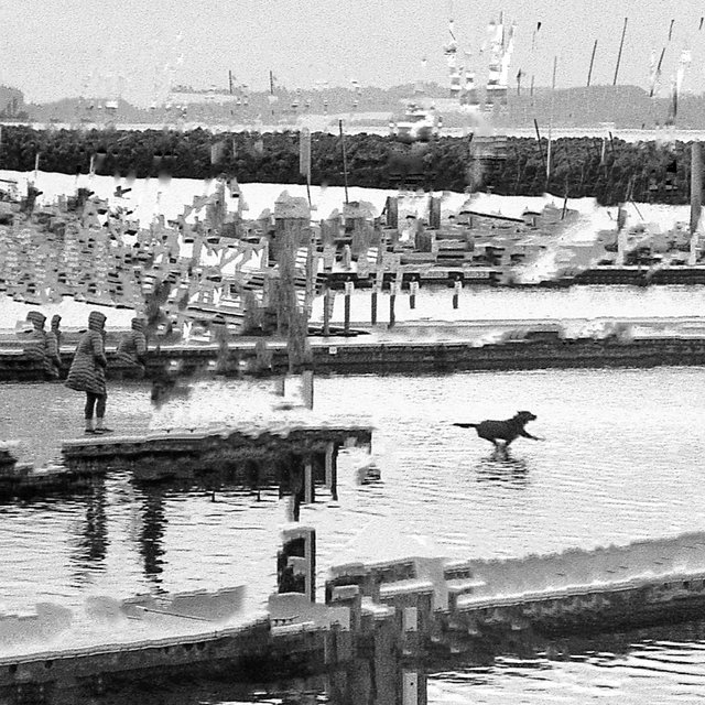 water people