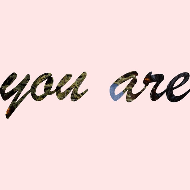 you are