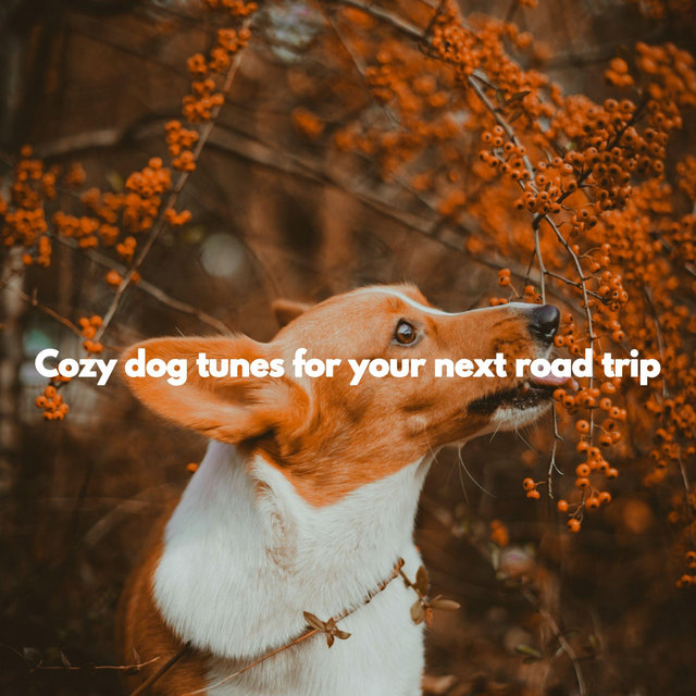 Cozy dog tunes for your next road trip