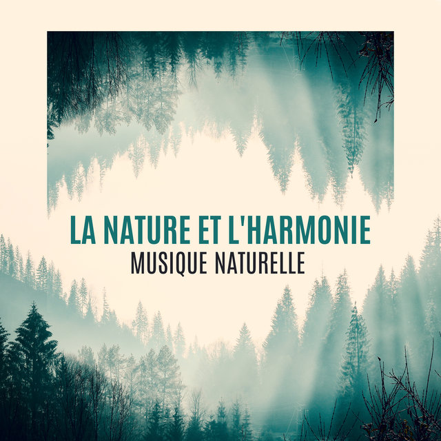 La nature et l'harmonie – Musique naturelle, Détendre avec différents sons de nature, Réduction du stress, Thérapie de guérison
