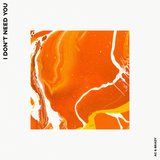 I Don't Need You (feat. Beleaf & Gray)