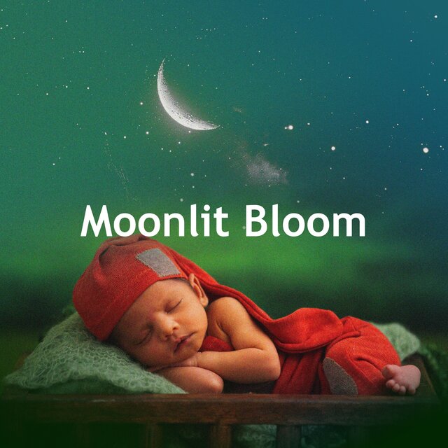 Moonlit Bloom