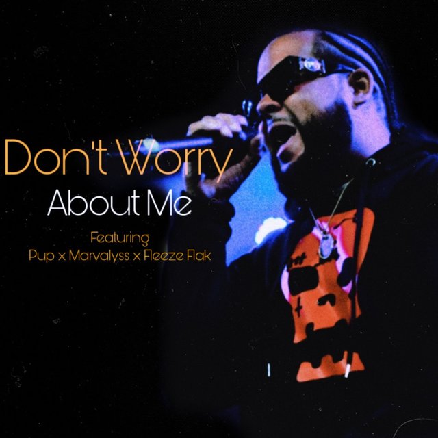 Don't Worry About Me (feat. Pup, Marvalyss & Fleeze Flak)