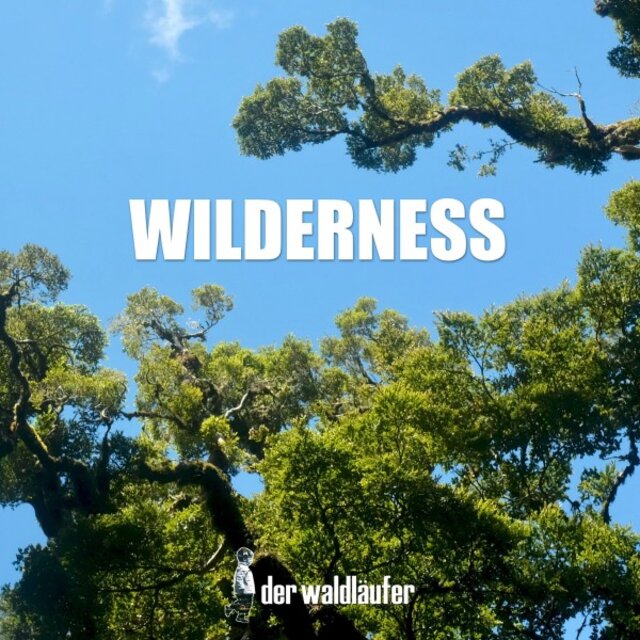 Wilderness