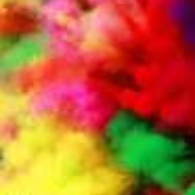 Happy Holi Maya