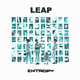 Cover art for album Entropy by LEAP