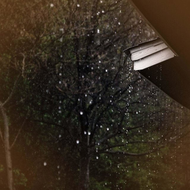 Relaxing Rain Sounds on a Tin Roof with Thunder for Sleep and Relaxation
