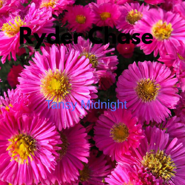 Tansy Midnight