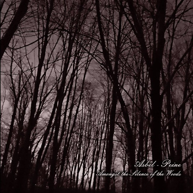 Amongst The Silence Of The Woods (Split Album)