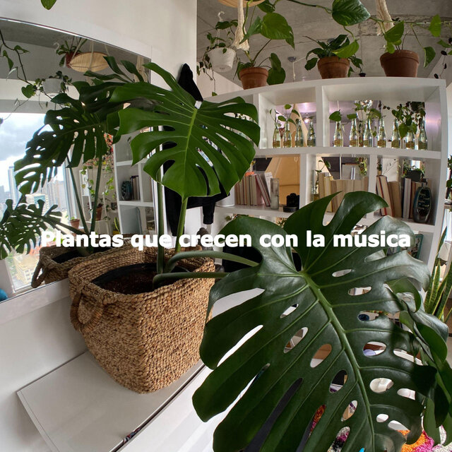 Plantas que crecen con la música