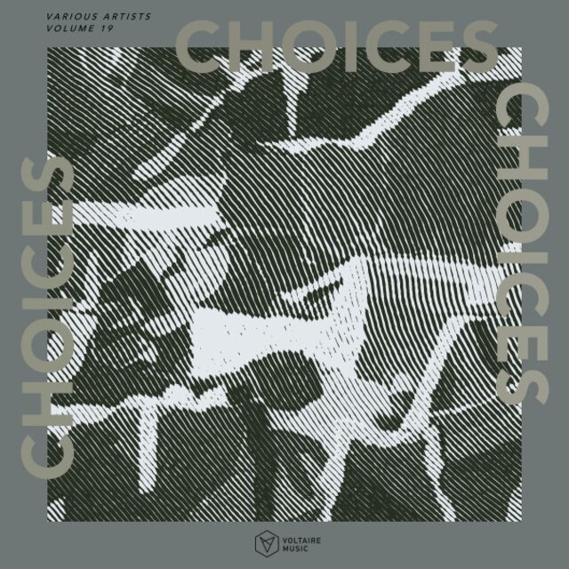 Voltaire Music Pres. Choices, Vol. 19