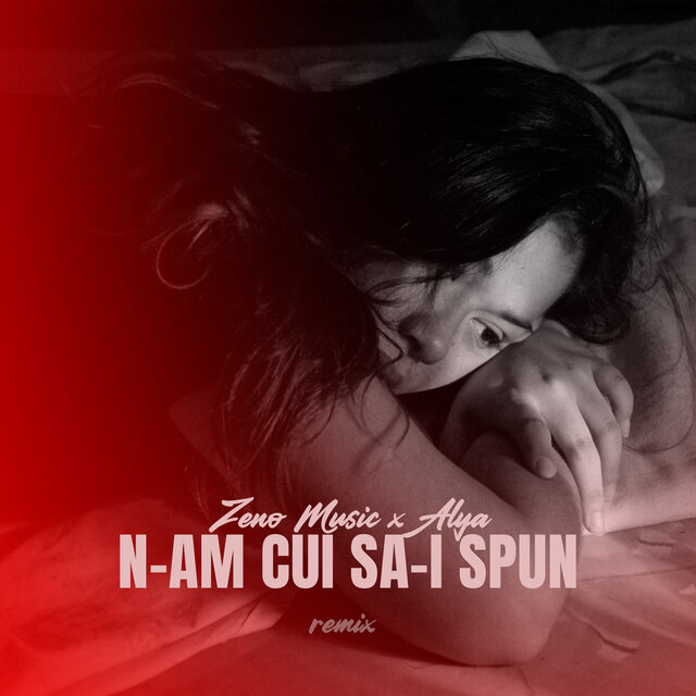 N-am cui sa-i spun (Remix)