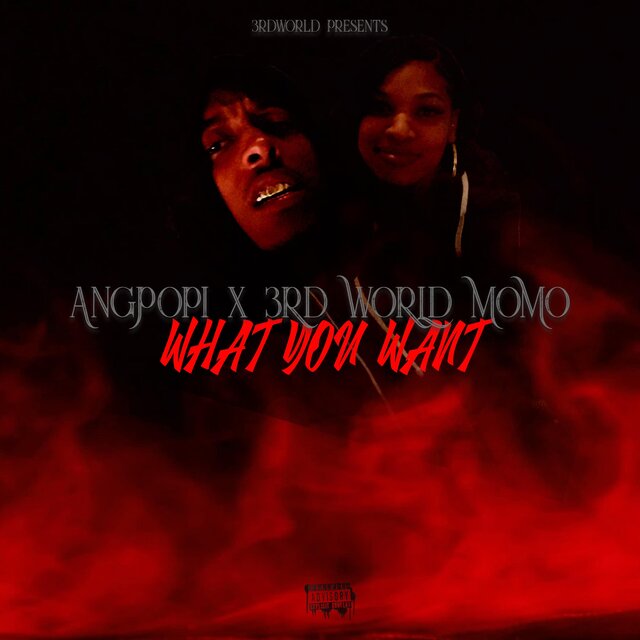 What You Want (feat. Angpopi)
