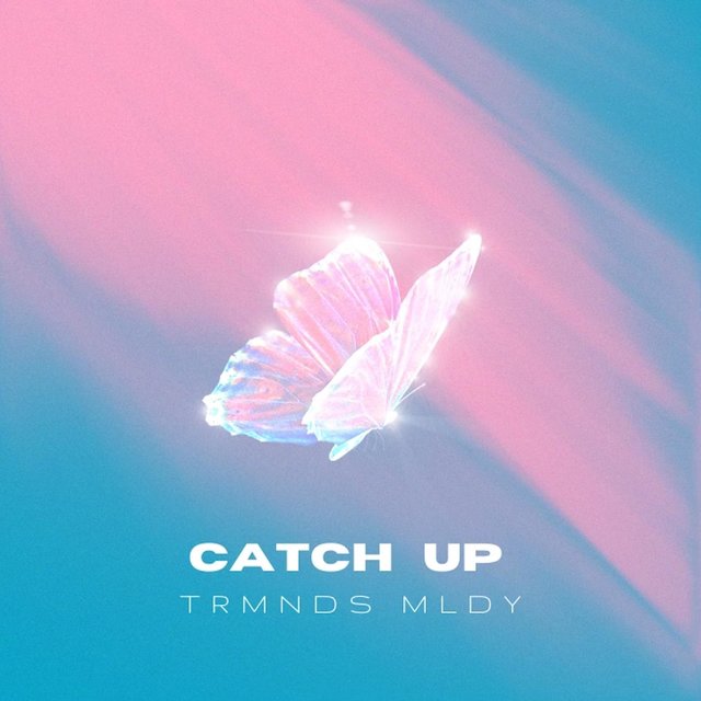 Catch Up