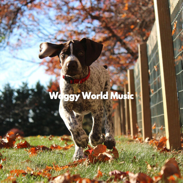 Waggy World Music