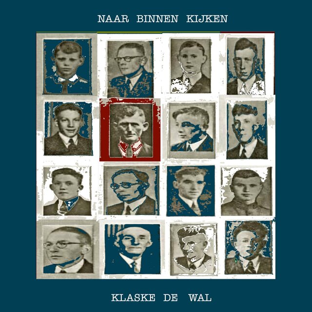 Naar Binnen Kijken
