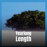 Parting Which