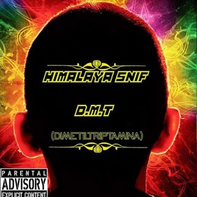 DIMETILTRIPTAMINA (DMT)
