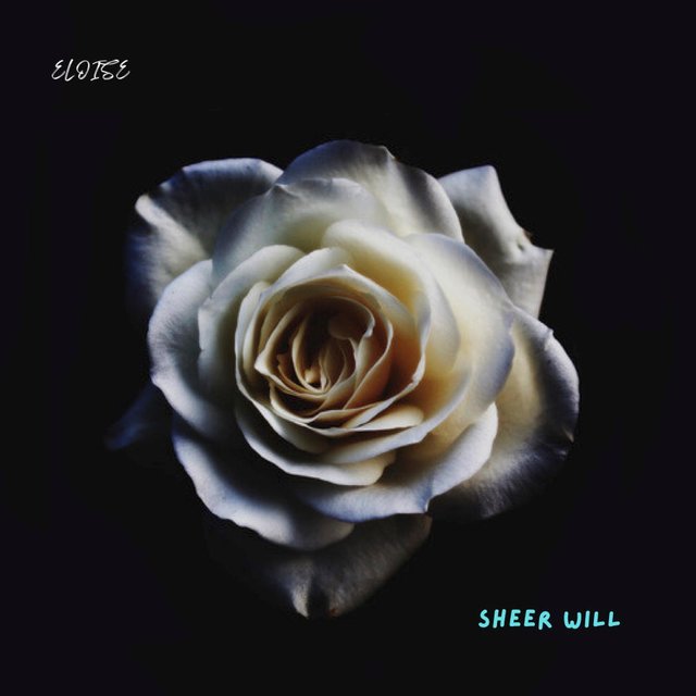 SHEER WILL